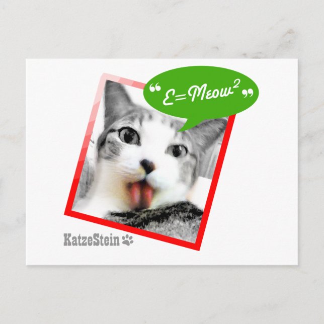 smart katt vykort (Framsida)