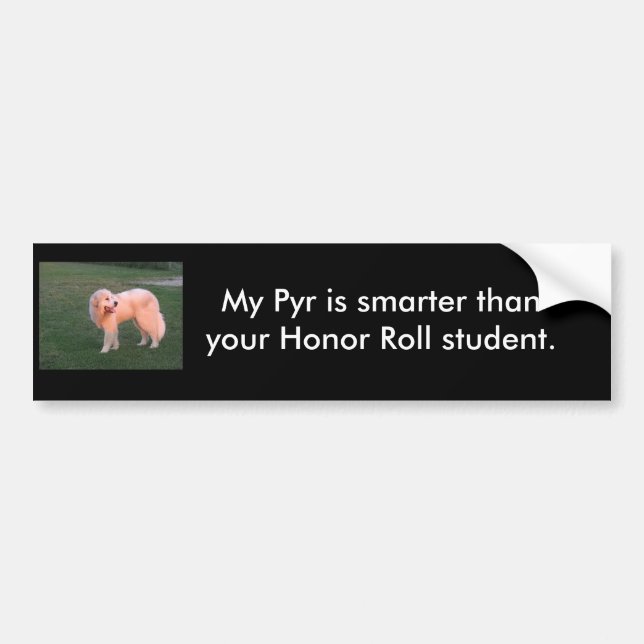 Smart Pyr Bildekal (Framsidan)