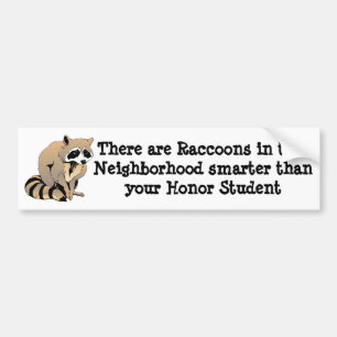 Smart Raccoon Bildekal