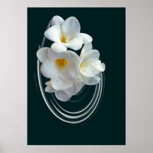 smart vit frisighet poster
