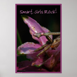Smarta flickor Poster