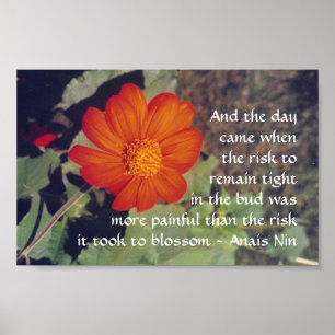 Smärta och risk - Anais Nin - poster