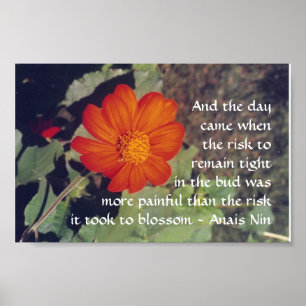 Smärta och risk - Anais Nin - poster