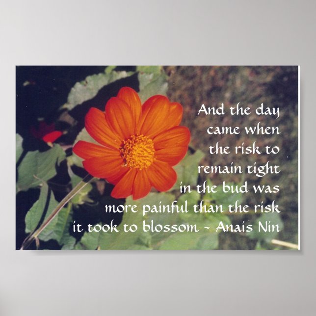 Smärta och risk - Anais Nin - poster (Framsidan)