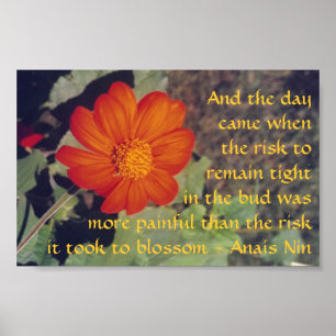 Smärta och riskera - Anais Nin - affischen Poster
