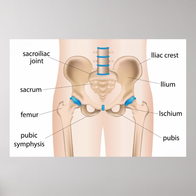Smärta vid bröstsmärta poster (Framsidan)