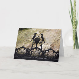 Smärtans klippa, Jerusalem, Israel - färg, vykort