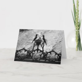 Smärtans klippa, Jerusalem, Israel - Svart-vit vyk Kort