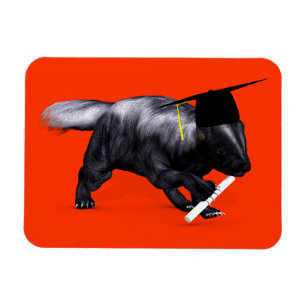 Smartare cirkus av campus magnet