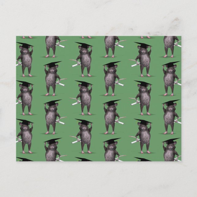 Smartare Råtta i stan Vykort (Framsida)