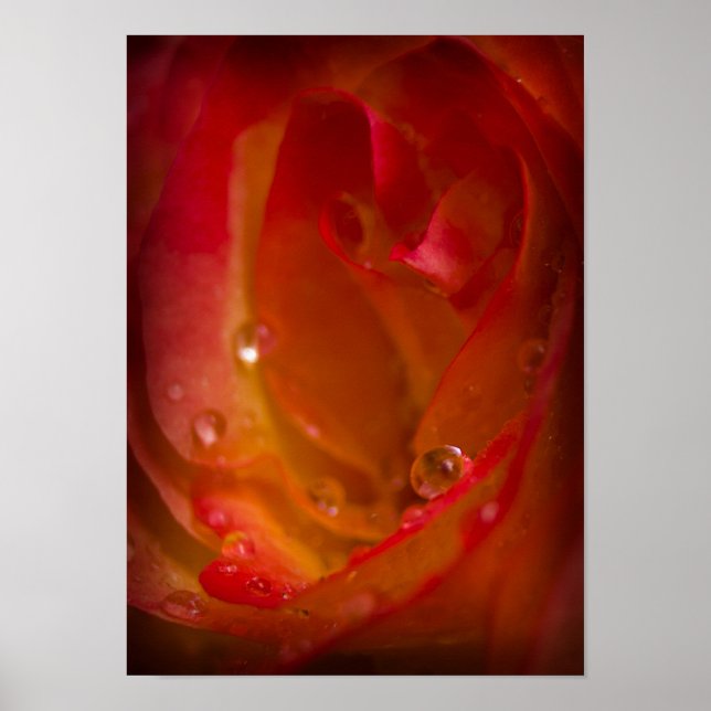 Smärtdroppar på Ro 4 Poster (Framsidan)