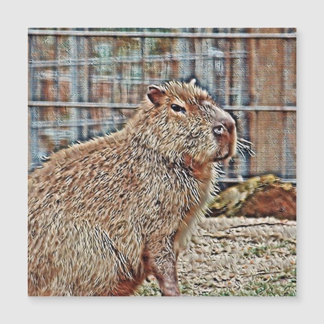 SmartMix Animal-Capybara (Framsida)