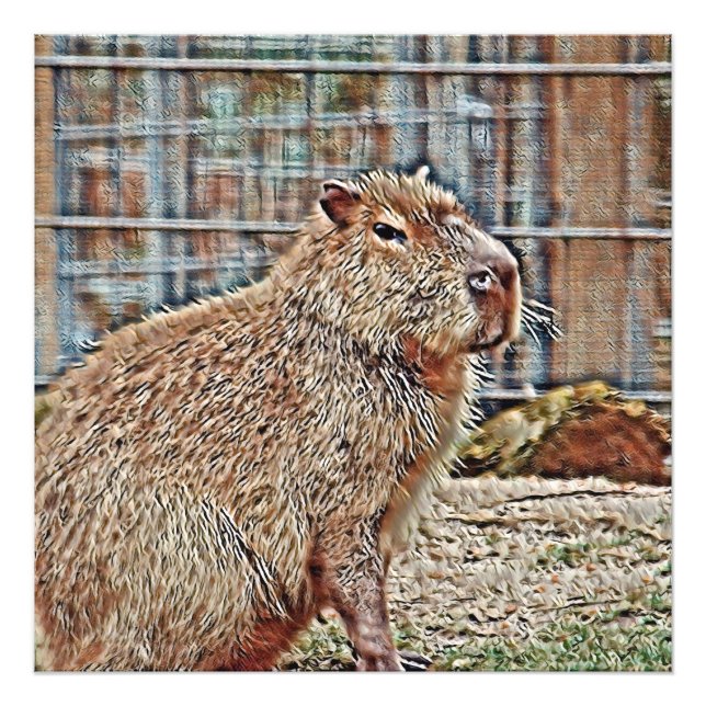 SmartMix Animal-Capybara Fototryck (Framsidan)