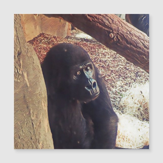 SmartMix Animal-Gorilla (Framsida)