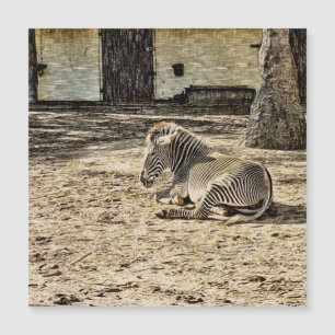 smartmix animal - zebra