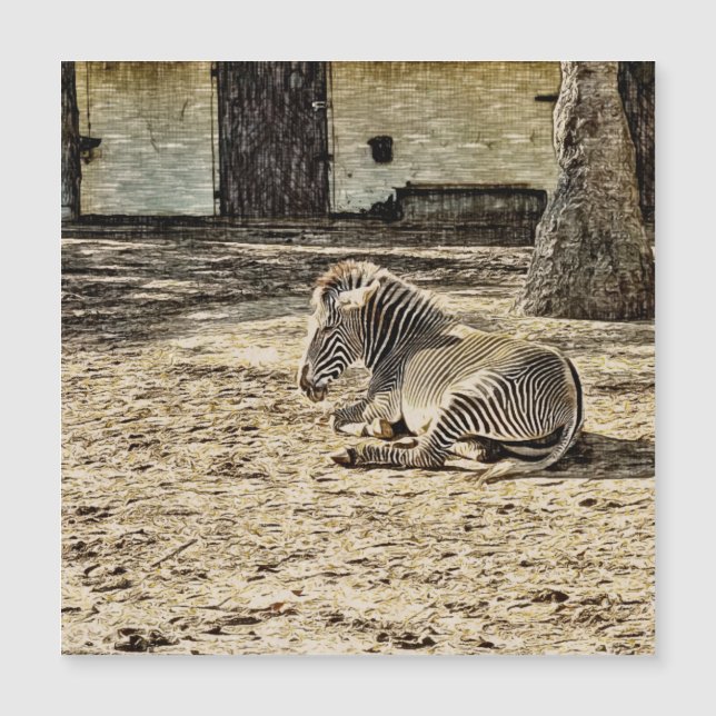 smartmix animal - zebra (Framsida)