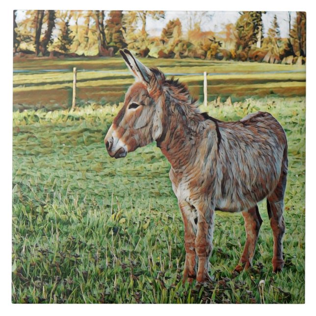 smartmix animerad donkey 1 kakelplatta (Framsidan)