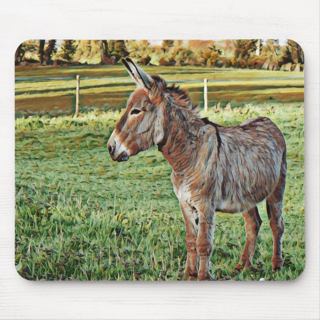 smartmix animerad donkey 1 musmatta (Framsidan)