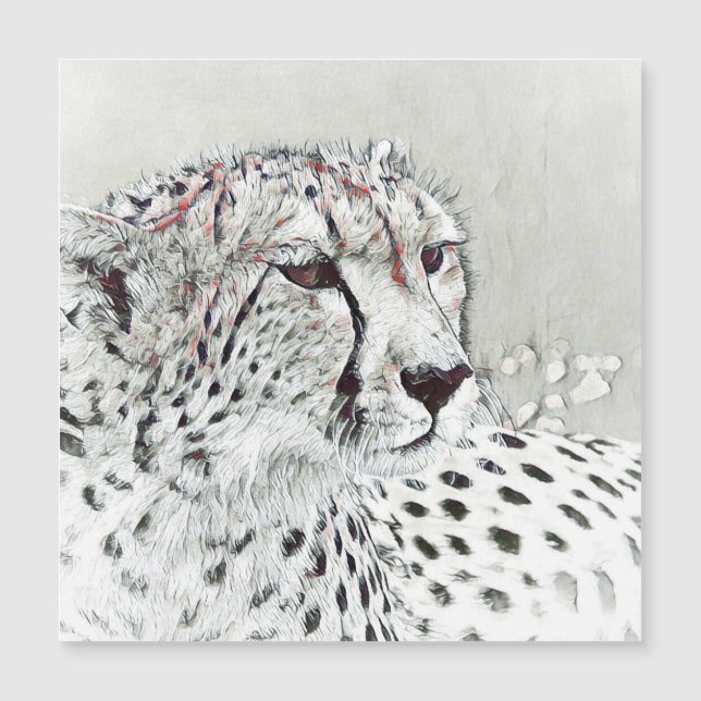 smartmix-djur-cheetah (Framsida)