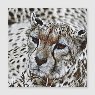 SmartMix-djur - Cheetah 2