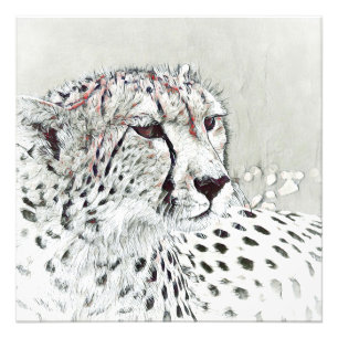 smartmix-djur-cheetah fototryck