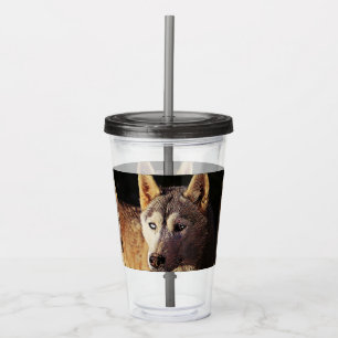 smartmix-djur-varg take away mugg