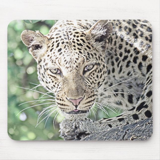 smartmix djurleopard 2 musmatta (Framsidan)