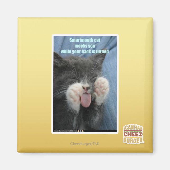 Smartmouth cat magnet (Framsidan)