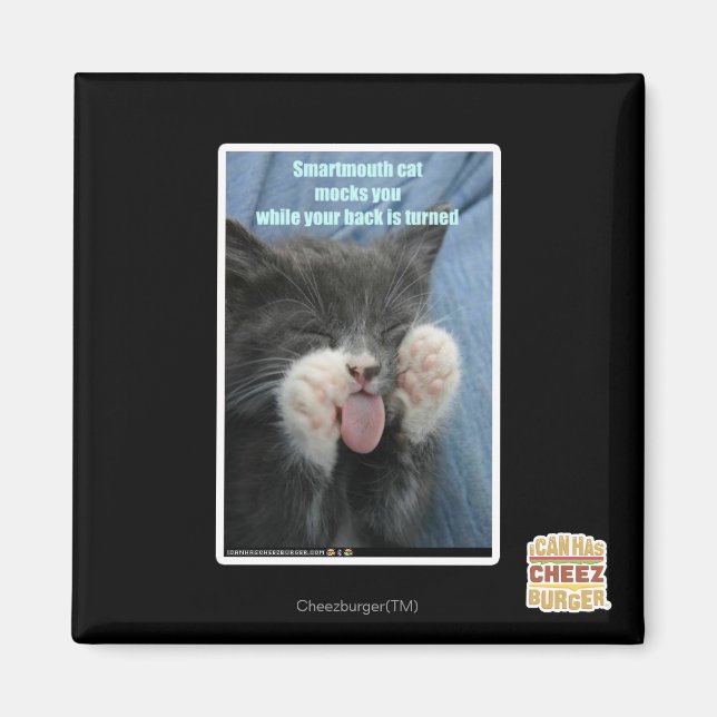Smartmouth cat magnet (Framsidan)