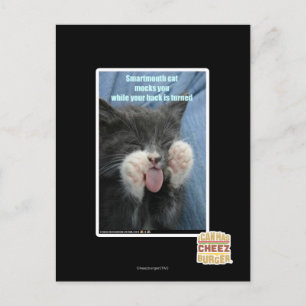 Smartmouth cat vykort