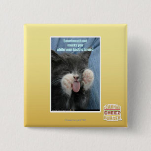 Smartmouth katt knapp