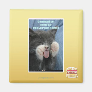 Smartmouth katt magnet