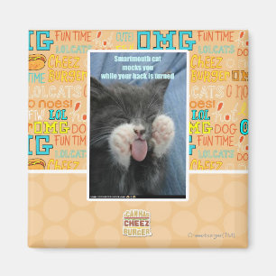 Smartmouth katt magnet