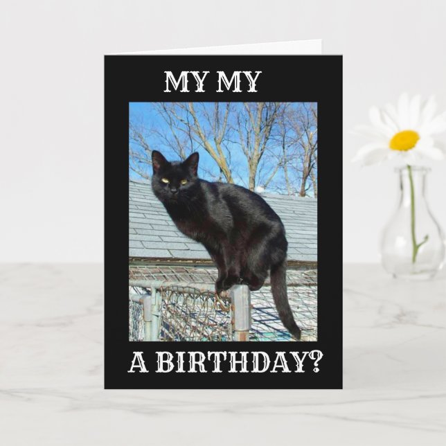 *SMARTY BYXOR BLACK CAT** BIRTHDAY KORT (Liten växt)
