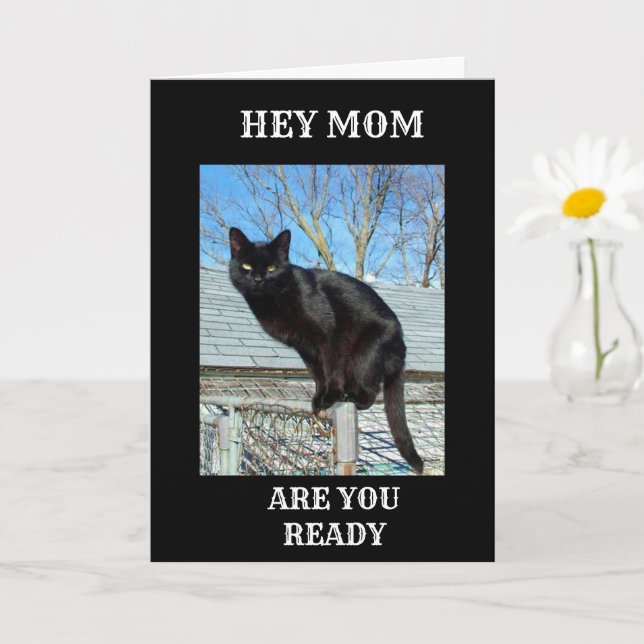 *SMARTY BYXOR BLACK CAT FOR MAMMA* BIRTHDAY CARD KORT (Liten växt)