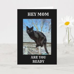 *SMARTY BYXOR BLACK CAT FOR MAMMA* BIRTHDAY CARD KORT