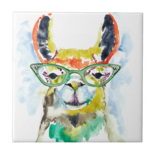 Smarty-Byxor Llama Kakelplatta