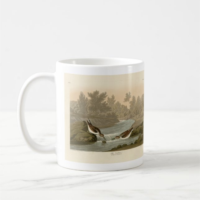 Småsandpiper från Audubon's Birds of America Kaffemugg (Vänster)
