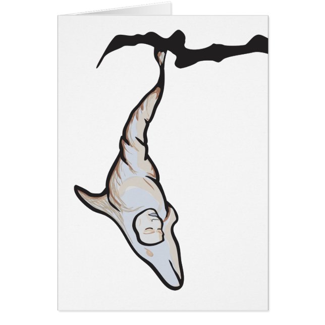 Småskallig delfinkokos hälsningskort (Framsidan)