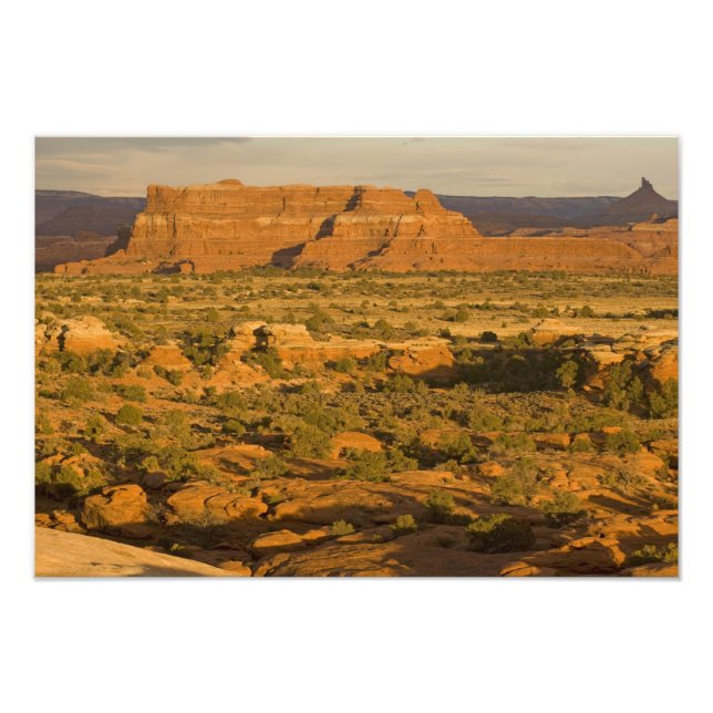 Småskerökenlandskap på väg in i 2 fototryck (Framsidan)