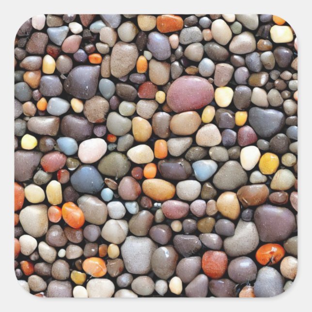 Småstarna Fyrkantigt Klistermärke (Framsida)