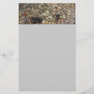 Småstarna i Taylor Bäck Nature Photography Brevpapper