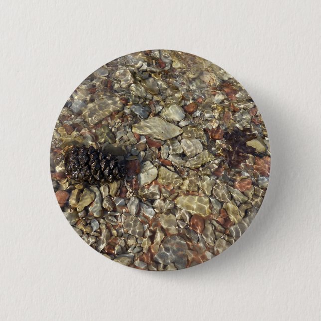 Småstarna i Taylor Bäck Nature Photography Knapp (Framsida)