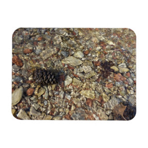Småstarna i Taylor Bäck Nature Photography Magnet