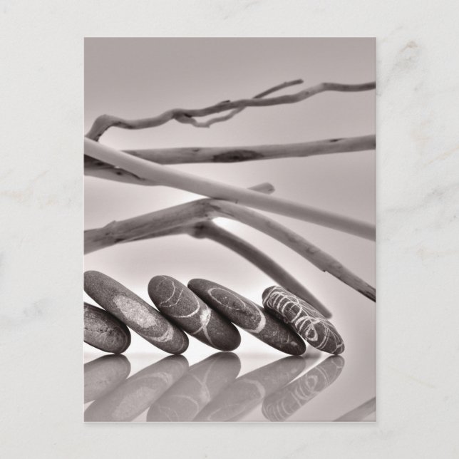 Småstarna och drivträ vykort (Framsida)