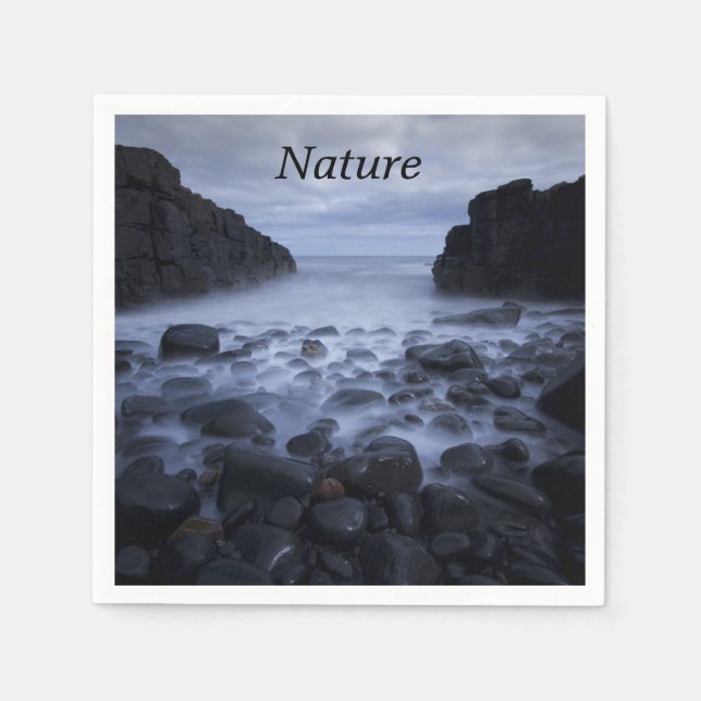 Småstarna och Sten längs havets kustnära Napkin Pappersservett (Framsidan)