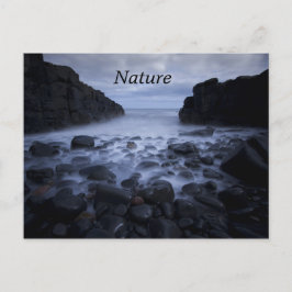 Småstarna och Sten längs Ocean Shoreline Postca Vykort