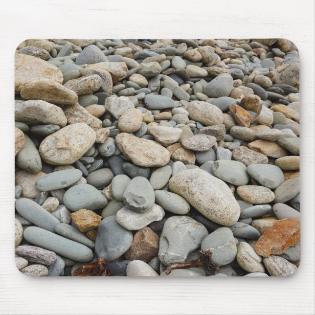 Småstarna vid kusten musmatta (Framsidan)