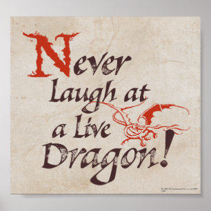 SMAUG™ - Skratta aldrig vid en direktkontakt Poster