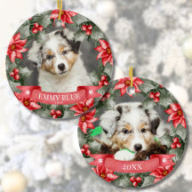 Smeka min första julhund